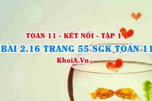 Bài 2.16 trang 55 SGK Toán 11 tập 1 Kết nối tri thức